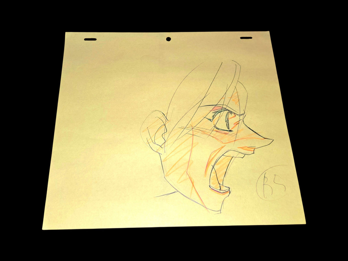 Escaflowne: Van Fanel animation genga 2 pc