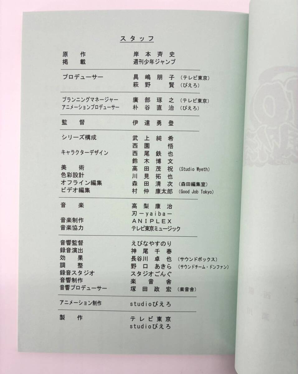 Naruto Shippuden #246 original studio script