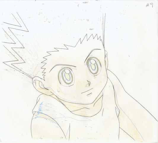 Hunter x Hunter: Gon animation douga