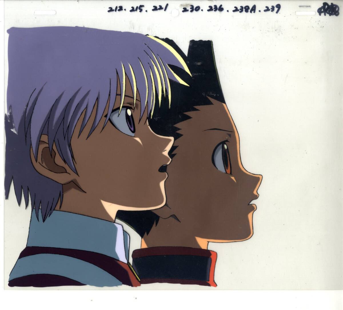 Hunter x Hunter: Gon & killua animation Cel + background