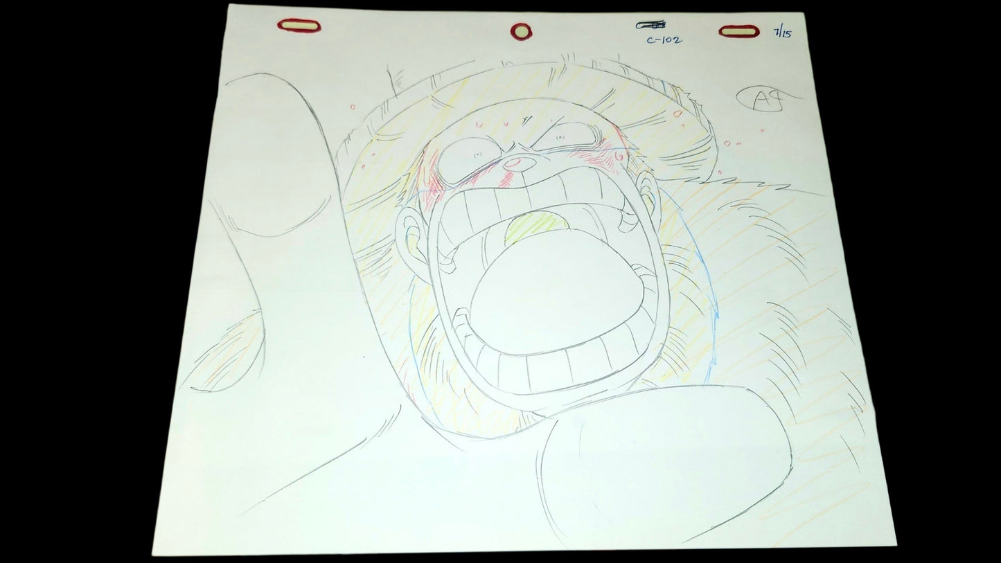 One Piece: Chopper animation genga