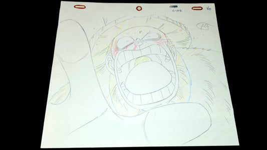 One Piece: Chopper animation genga
