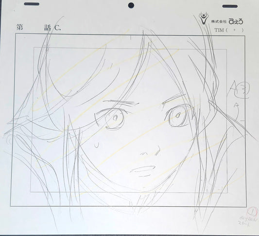 Naruto: Princess Haruna animation layout + genga + douga
