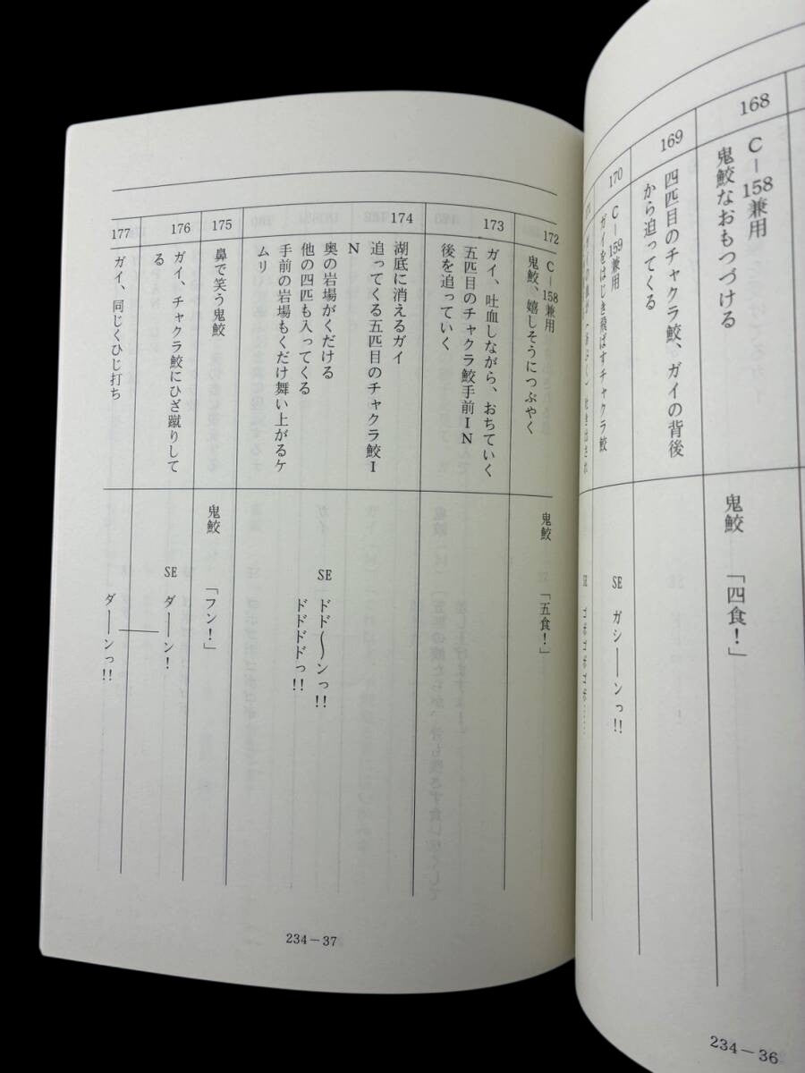 Naruto Shippuden #234/14 original studio script