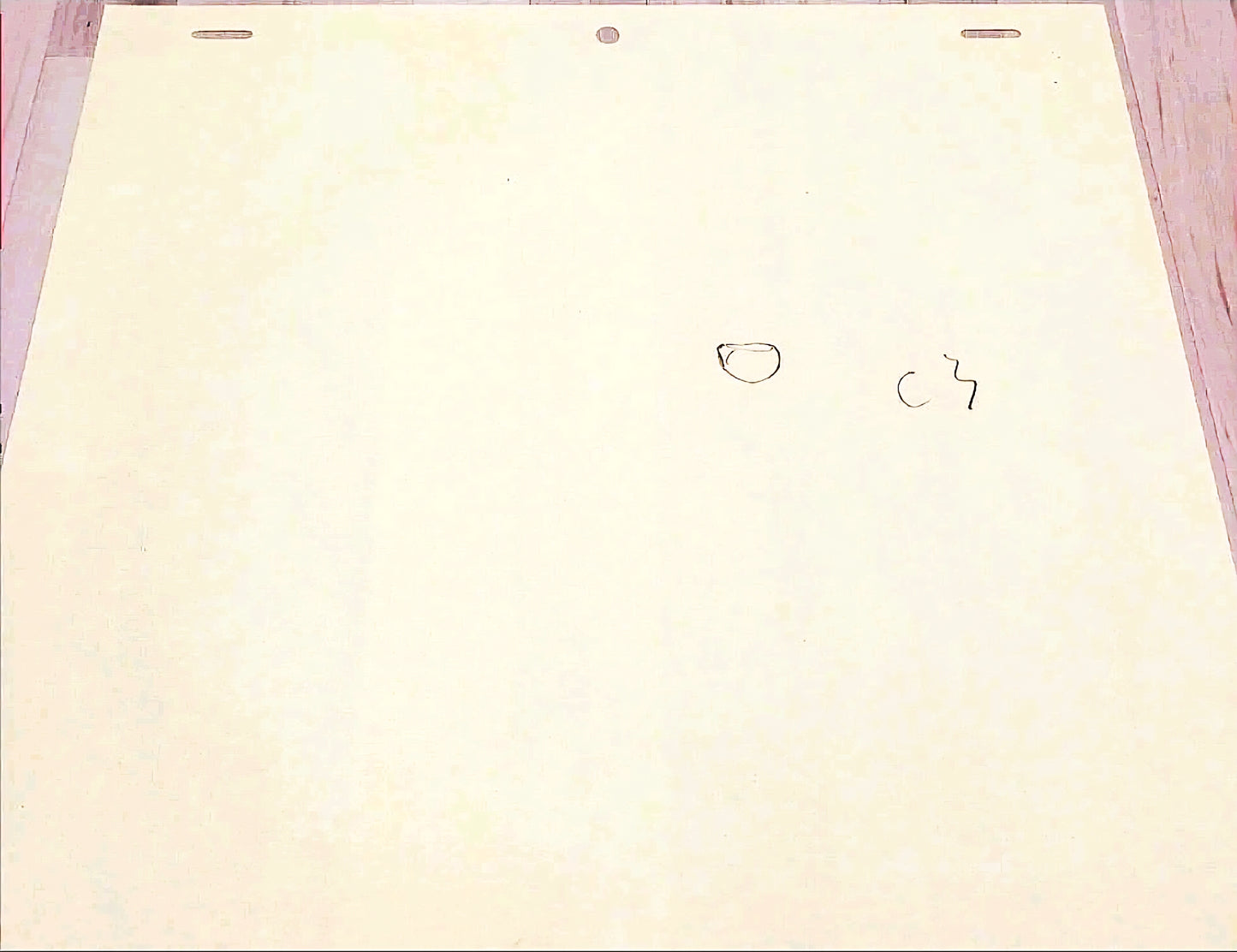 Cowboy Bebop: Faye Valentine hand drawn genga 2 piece