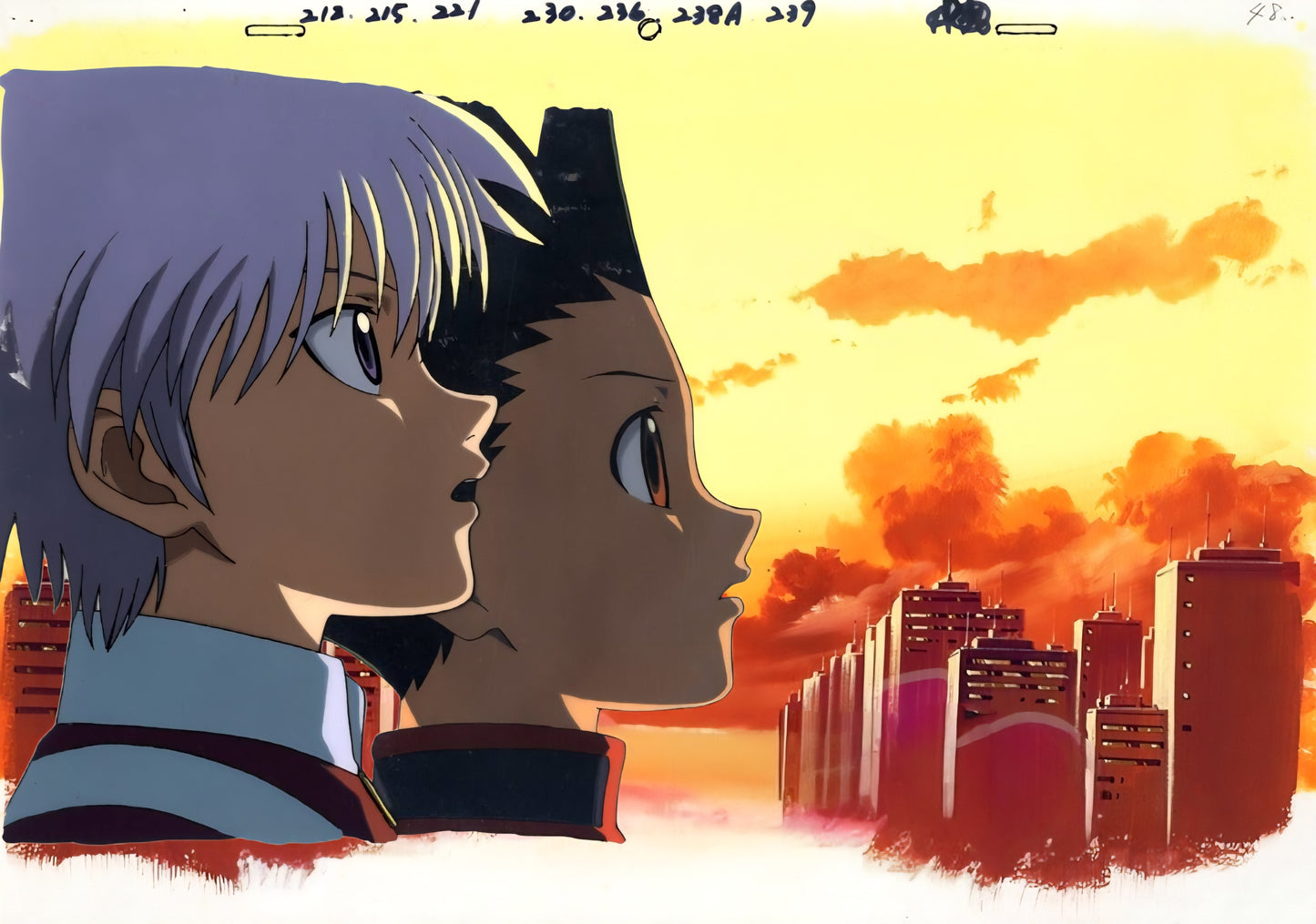 Hunter x Hunter: Gon & killua animation Cel + background
