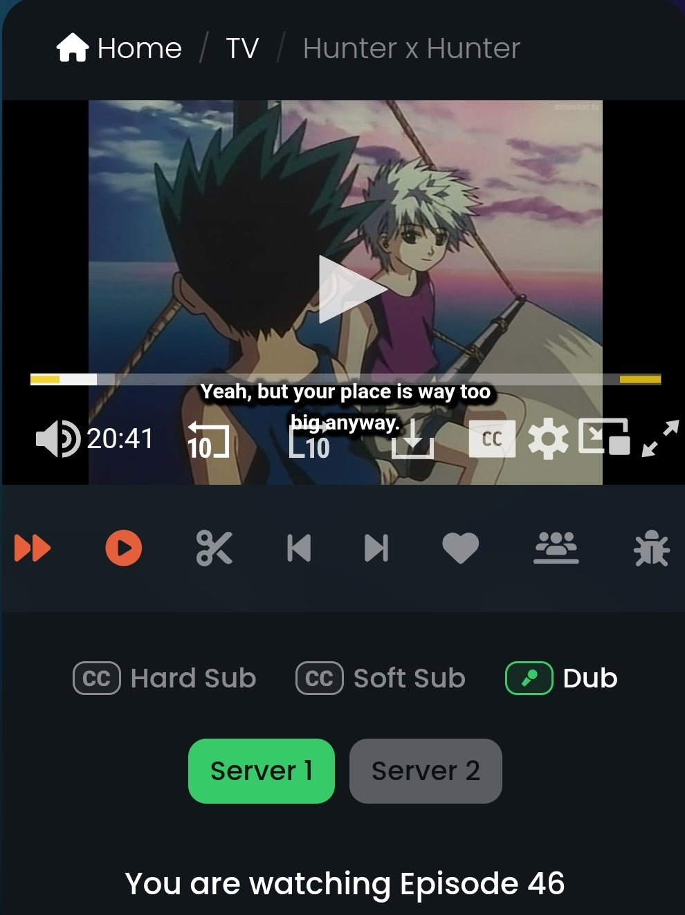 Hunter x Hunter: Gon and Killua animation cel
