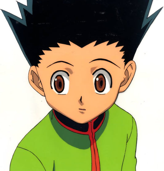 Hunter X Hunter: Gon animation Cel