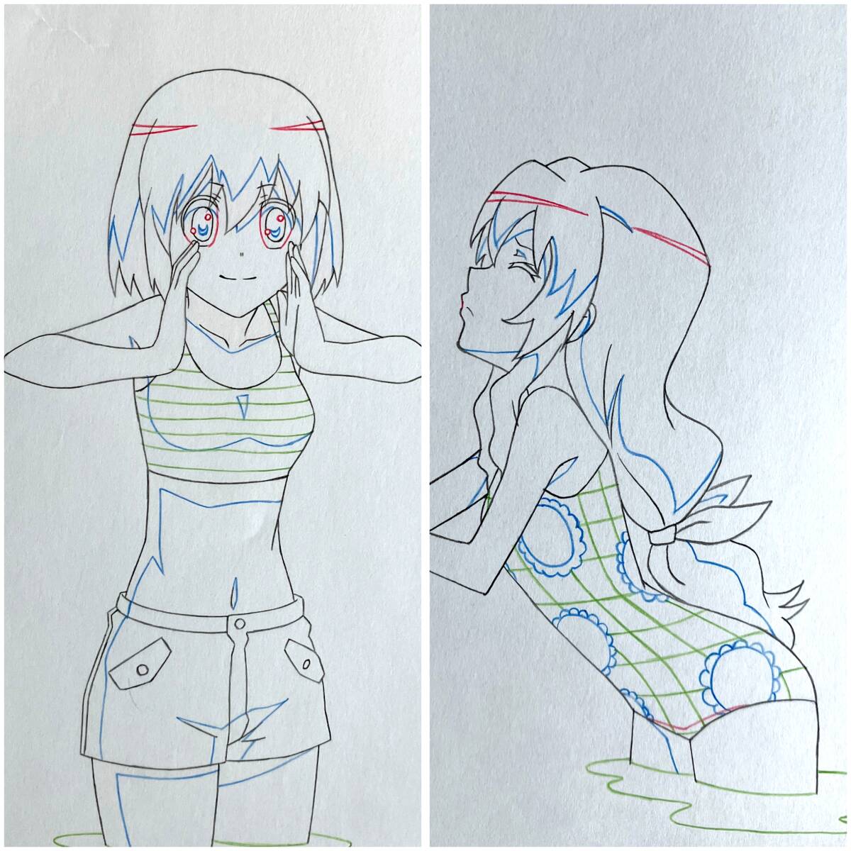 Toradora: Taiga swimsuit and Minori Kushieda animation douga 2 pc