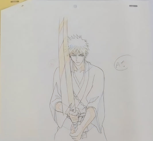 Bleach Ichigo animation genga 2pc