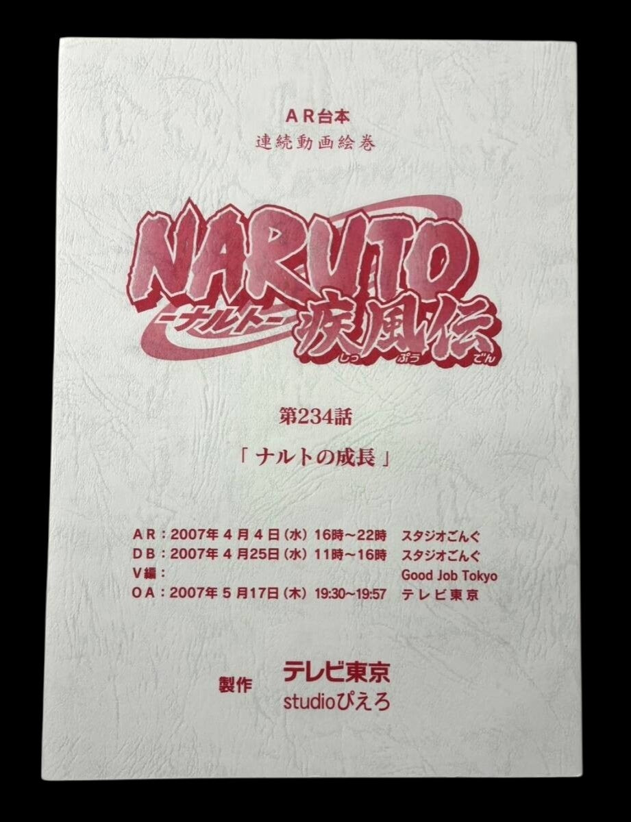 Naruto Shippuden #234/14 original studio script