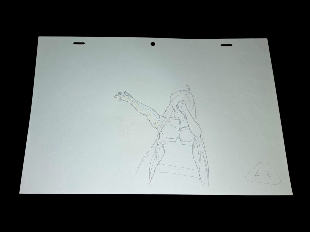 Rosario + Vampire: Opening Moka Akashiya animation OP genga 9 pc