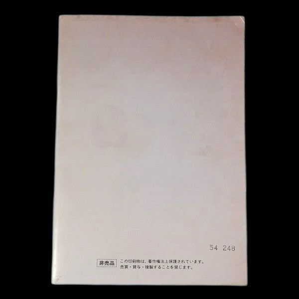 One Piece the Movie - Dead End Adventure: Movie script (In hand)