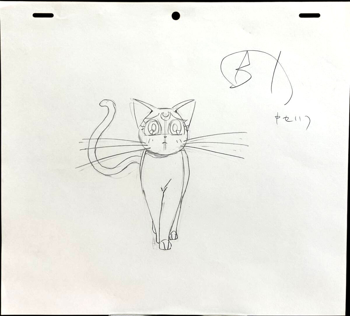 Sailor Moon: Luna animation genga