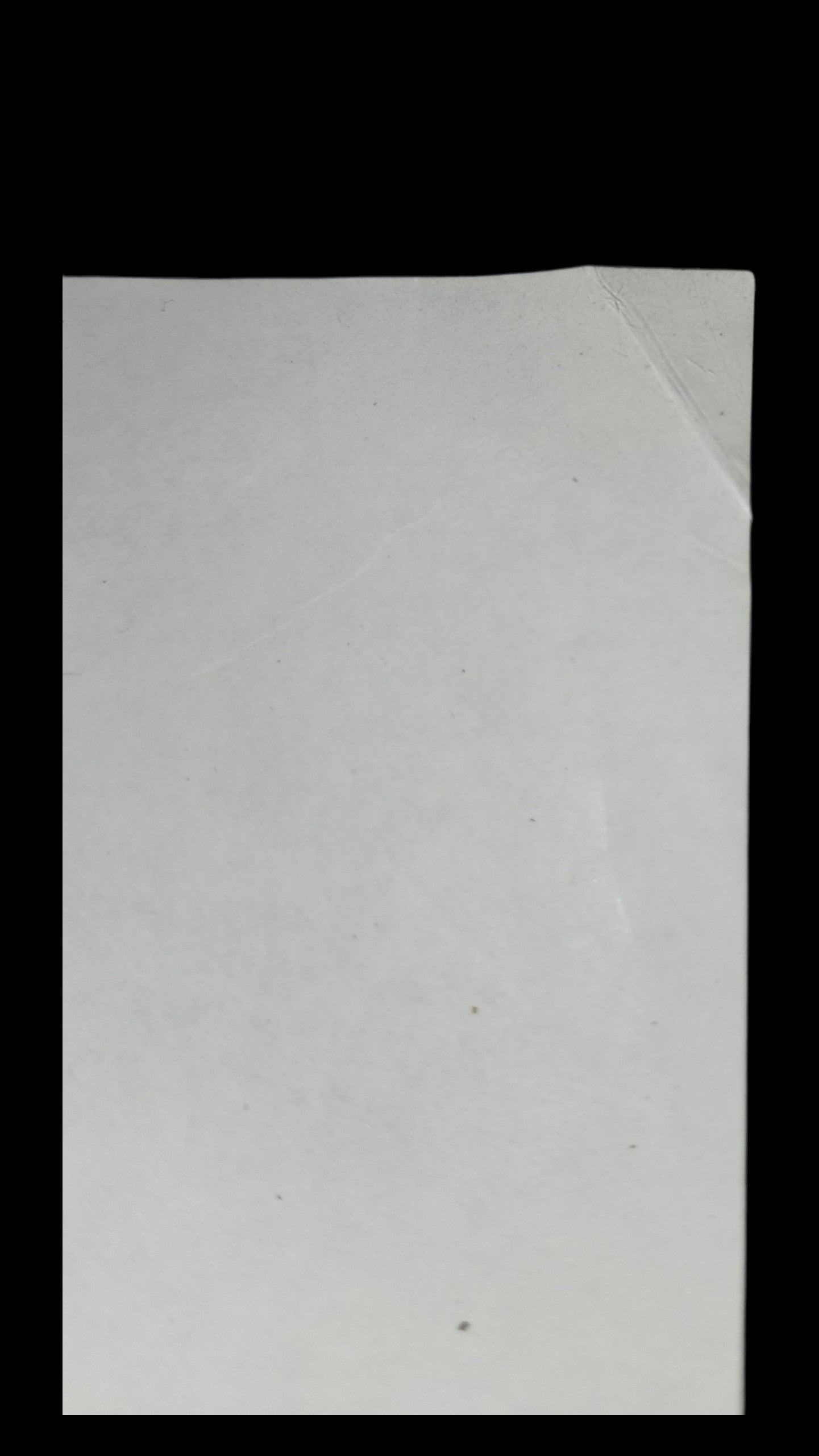 Trigun: Milly Thompson  animation cel