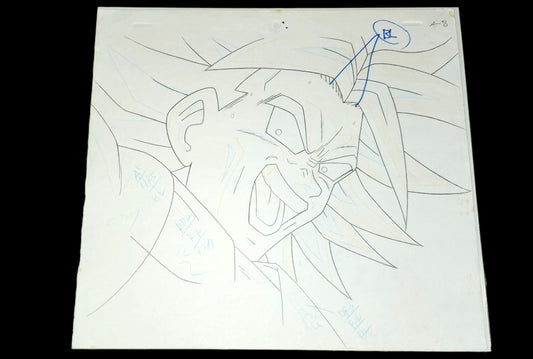 Dragonball z Movie: Broly The Legendary Super Saiyan animation douga