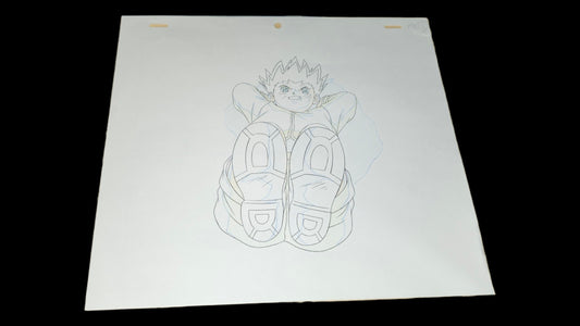 Hunter x Hunter: Gon vs Hisoka animation douga