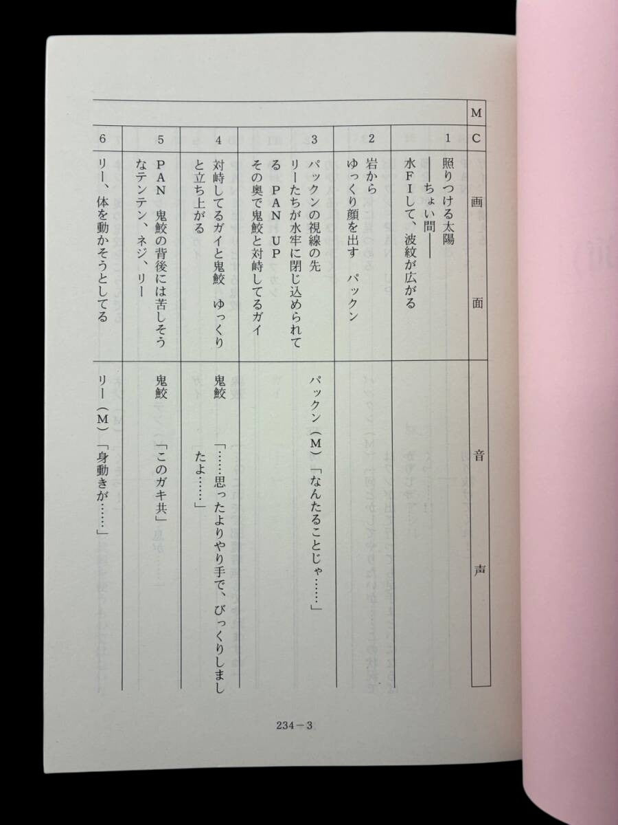 Naruto Shippuden #234/14 original studio script