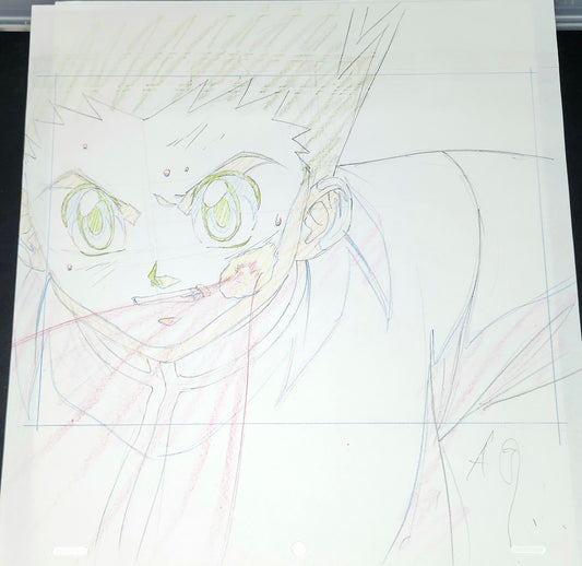 Hunter X Hunter: Gon (Hisoka's) bungee gum animation genga 2 pc