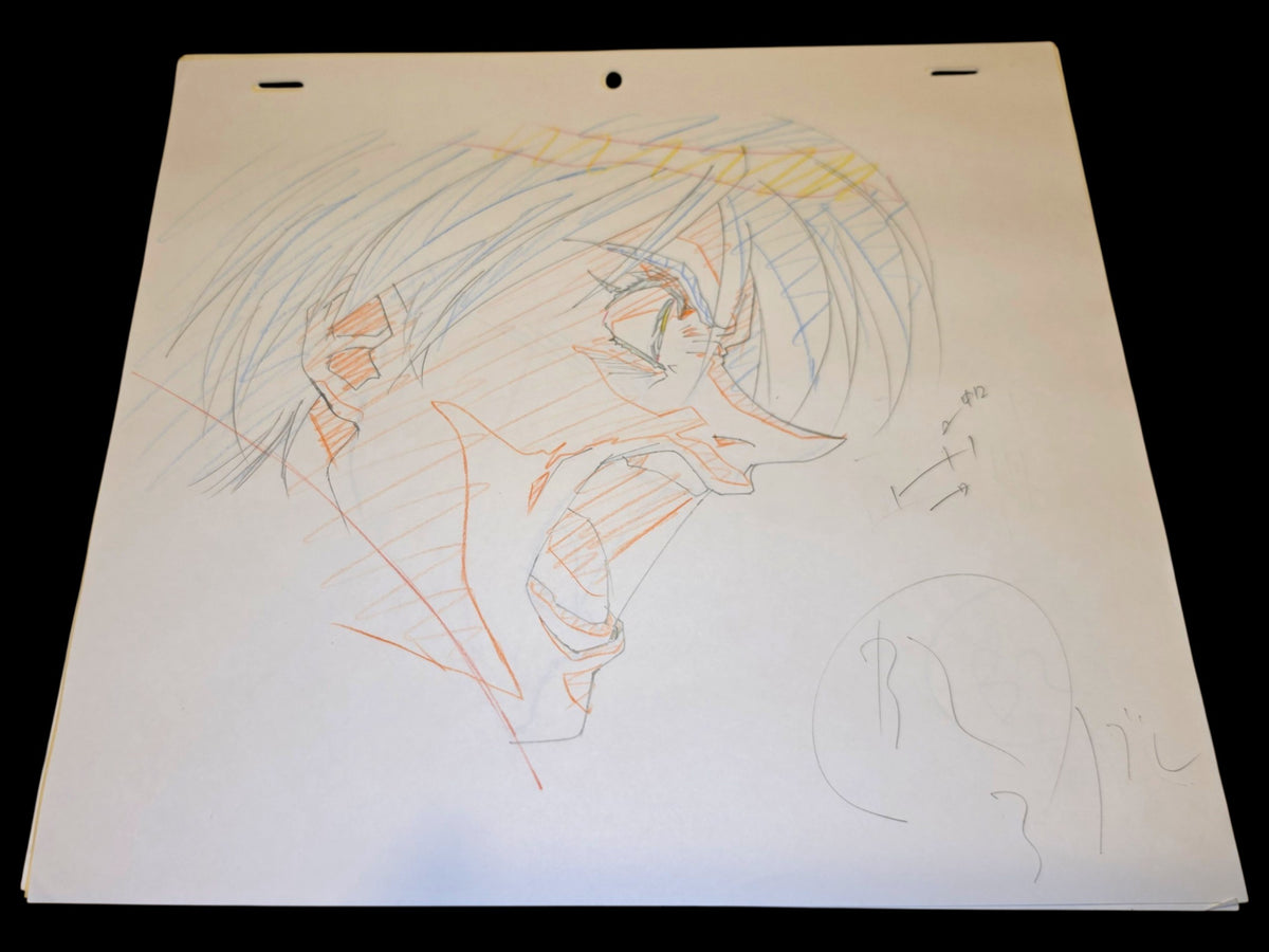 Escaflowne: Van Fanel animation genga 4 pc