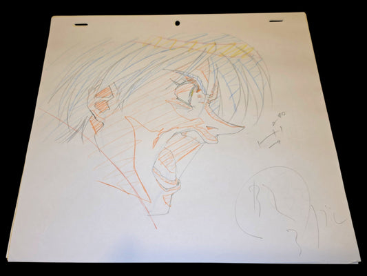 Escaflowne: Van Fanel animation genga 4 pc