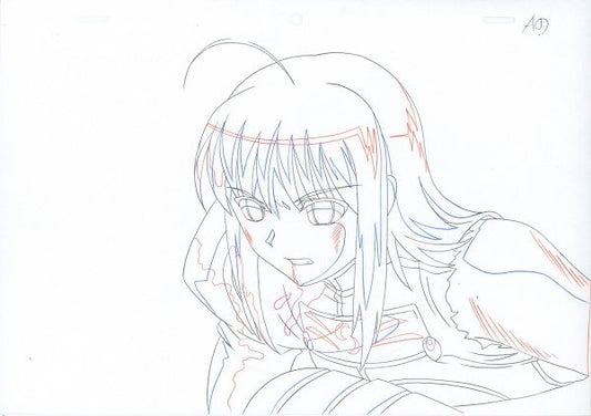 Fate/Stay Night: Saber animation douga