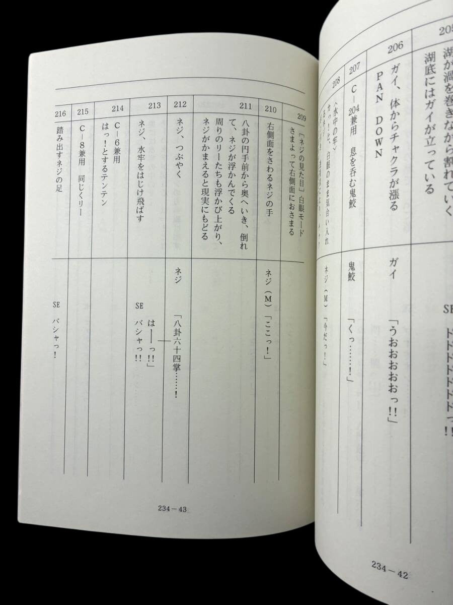 Naruto Shippuden #234/14 original studio script