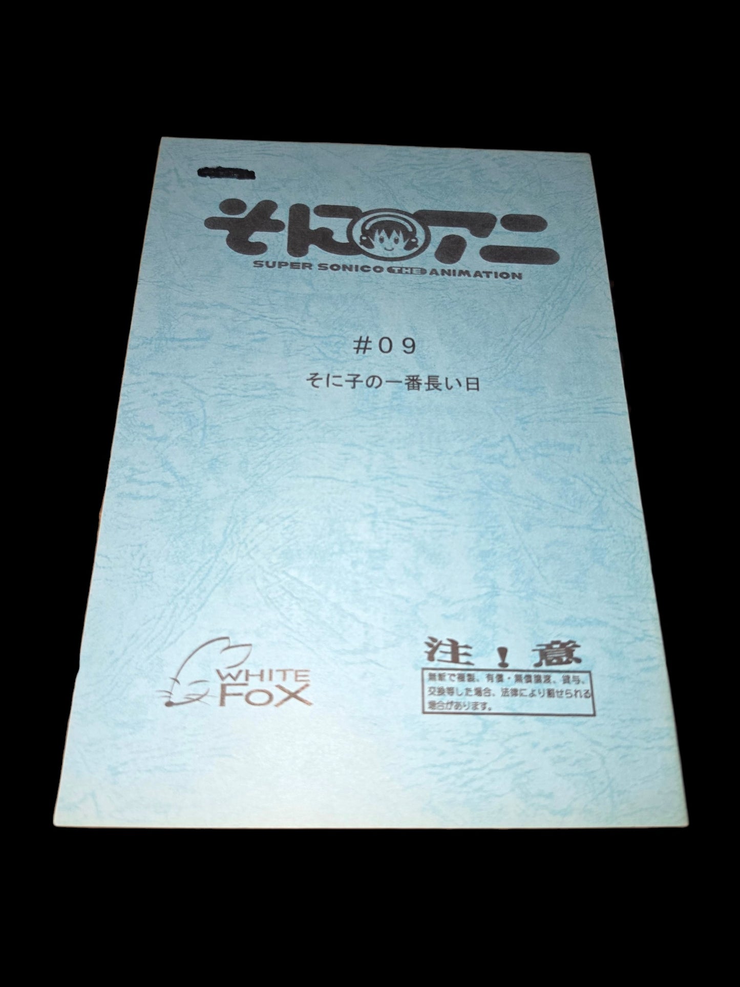 Super Sonico The Animation: Script #9: "Sonico's Longest Day"