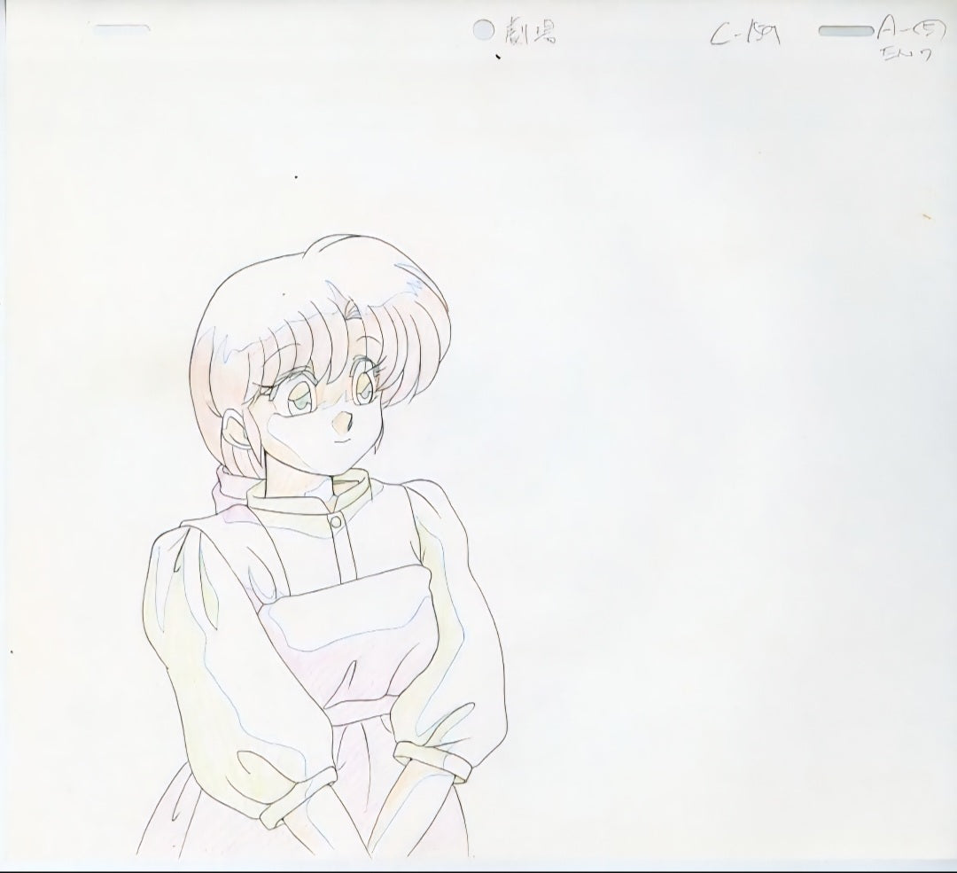 Ranma 1/2: Super Indiscriminate Decisive Battle! Team Ranma vs. the Legendary Phoenix Kasumi + Akane douga