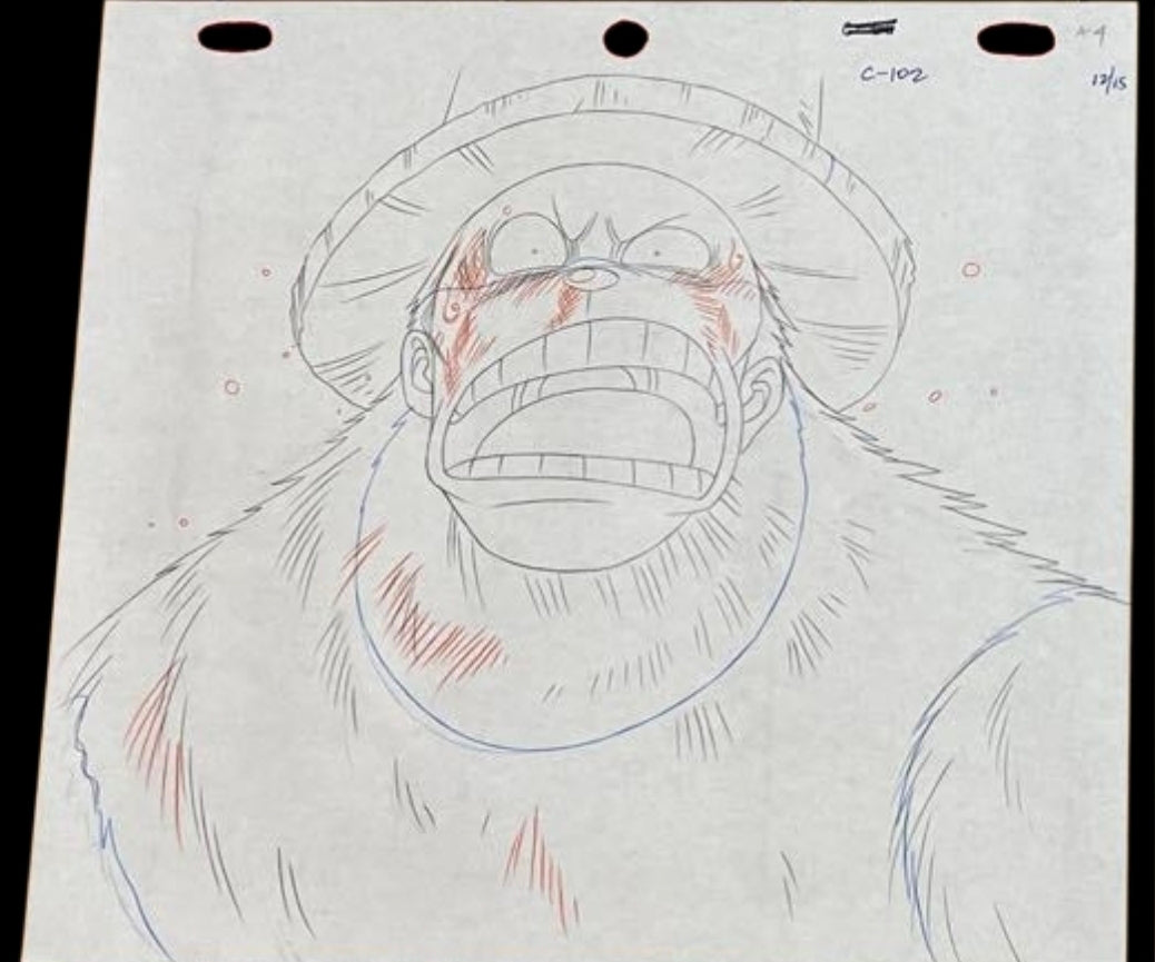 One Piece: Chopper animation douga