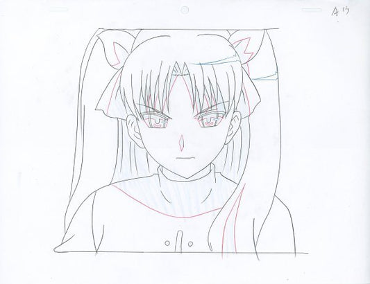 Fate/Stay Night: Rin Tohsaka animation douga