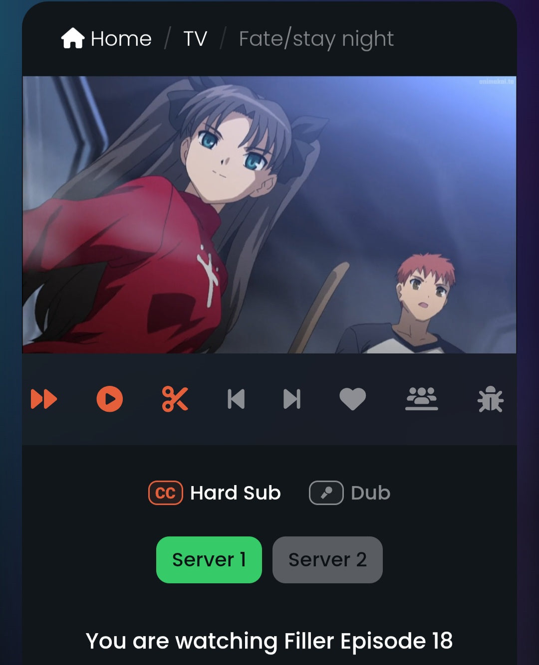 Fate/Stay Night: Rin & Shirou  animation genga