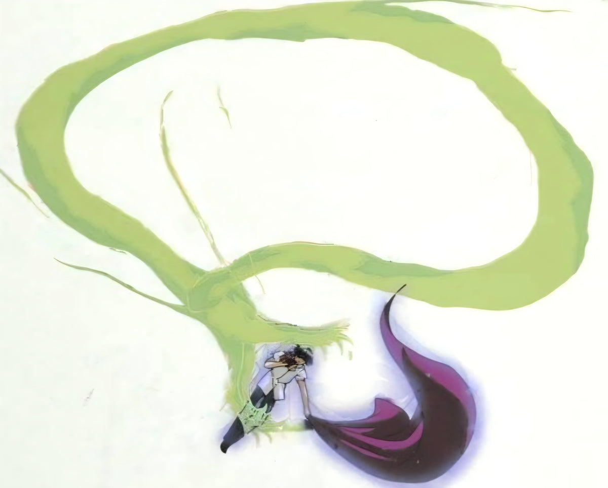 Hunter x Hunter: Chrollo vs Xeno's dragon technique animation cel (last ep)