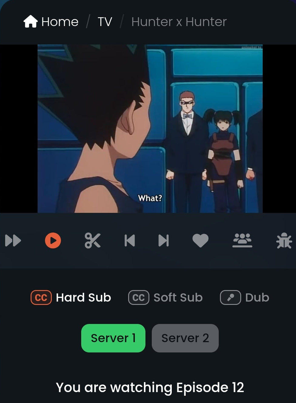 Hunter X Hunter: Gon + Anita animation Cel 3 pc