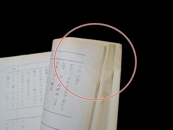 Ghibli Laputa: Castle in the Sky Movie Script
