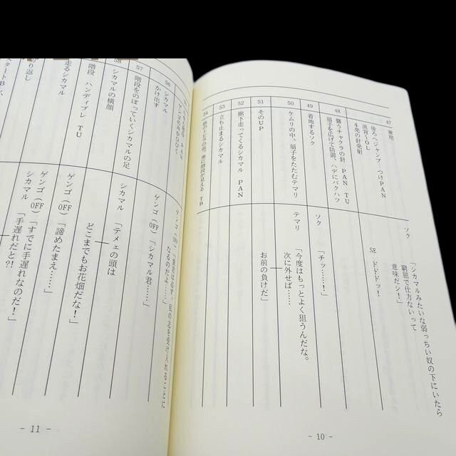 Naruto Shippuden: Script #713 ep #493 "Dawn"